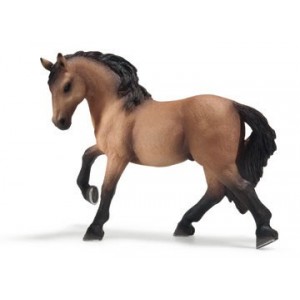 Lusitano